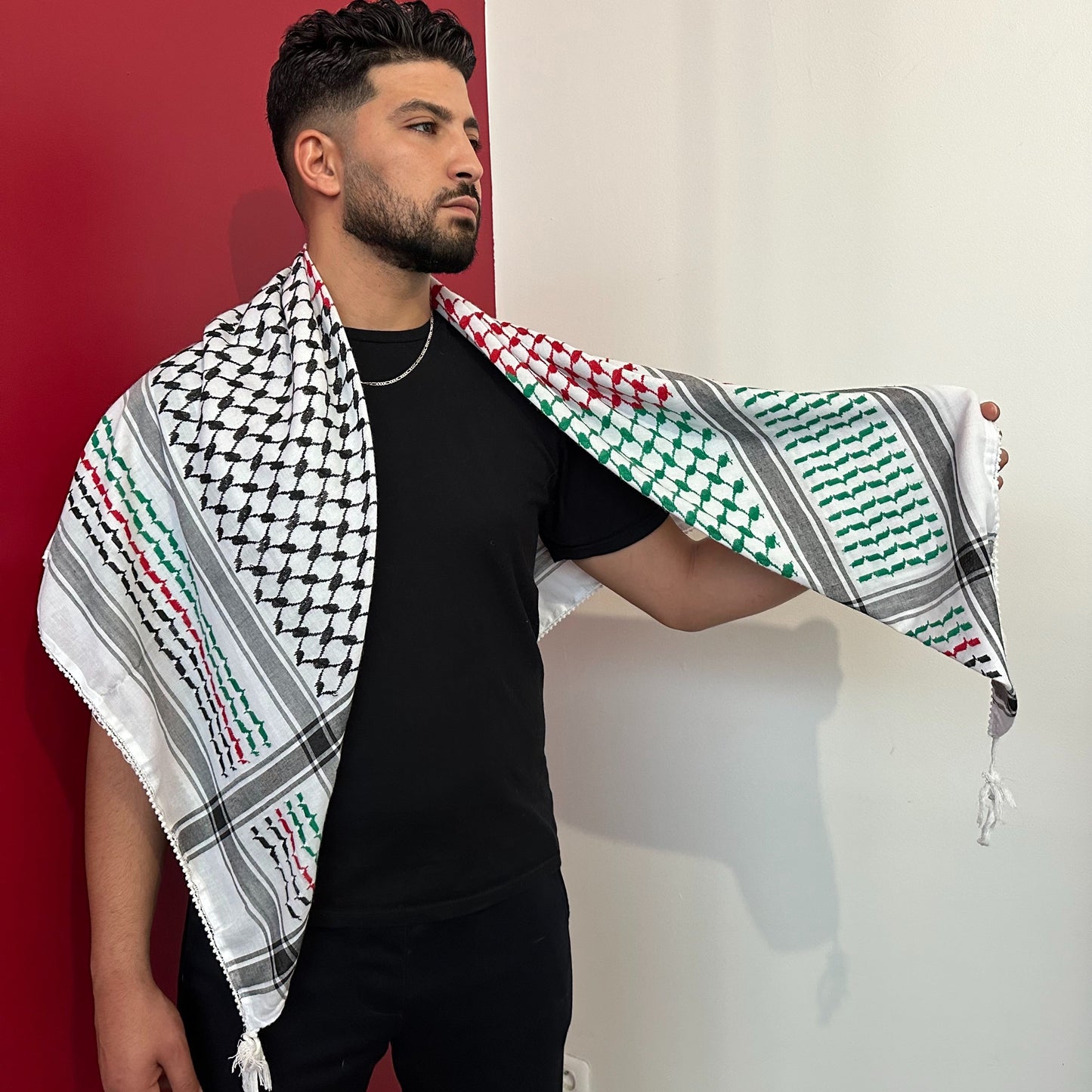 Keffiyeh multi couleur Palestine