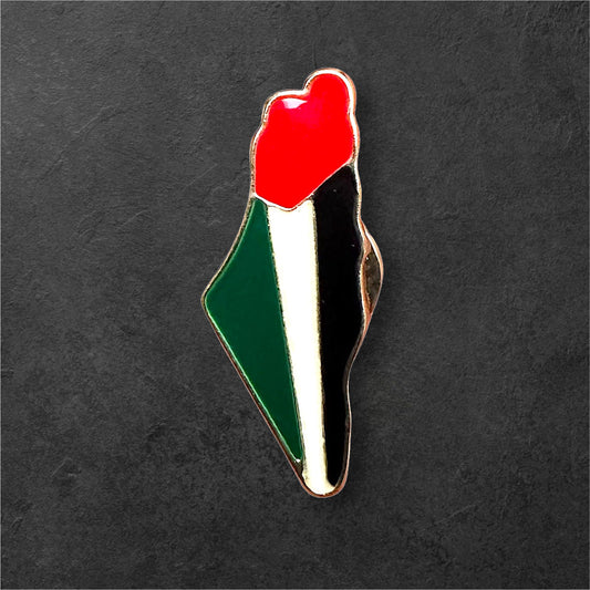 Pin's carte et drapeau Palestine